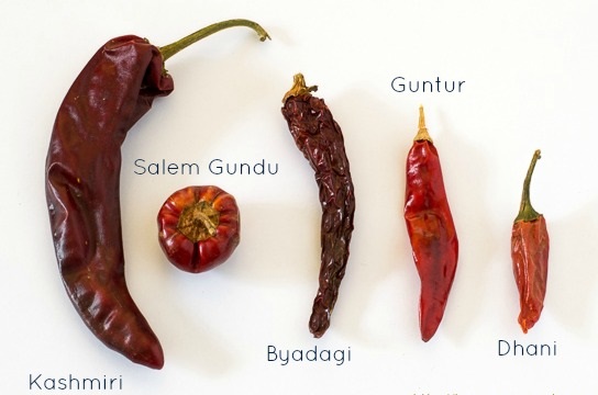 South-Indian-Chillies-Varieties
